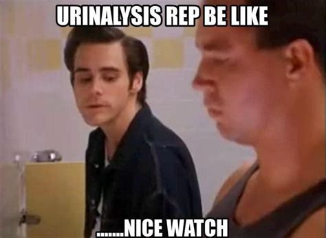 fecalysis meme|13 hilarious urinalysis memes every troop will understand.